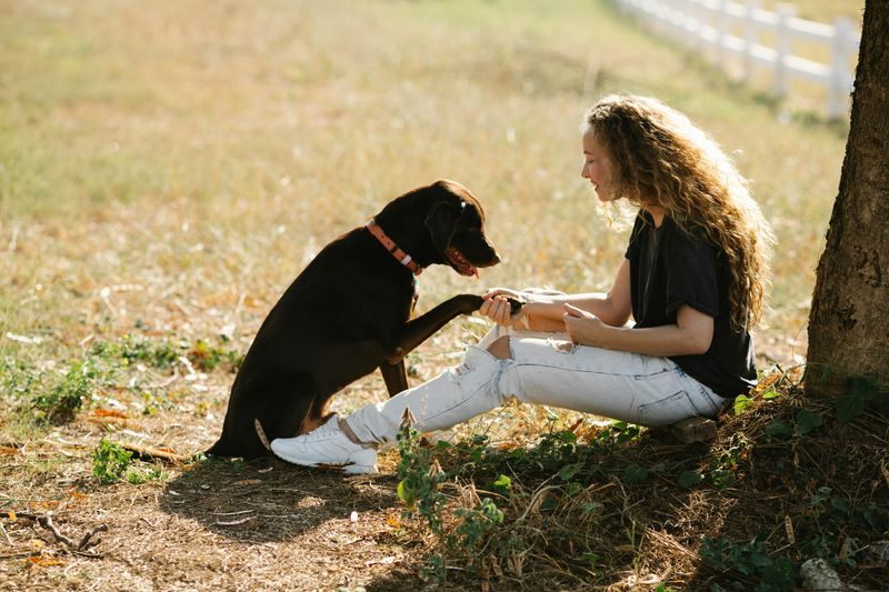 Verbal Tone and Body Language Matter