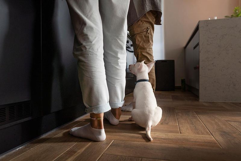 Following You Around
