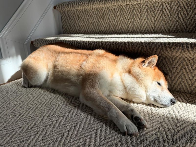 Relaxed Napping