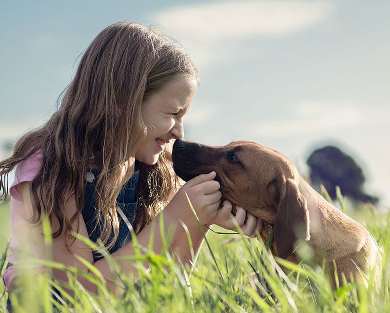 Loyal Companion