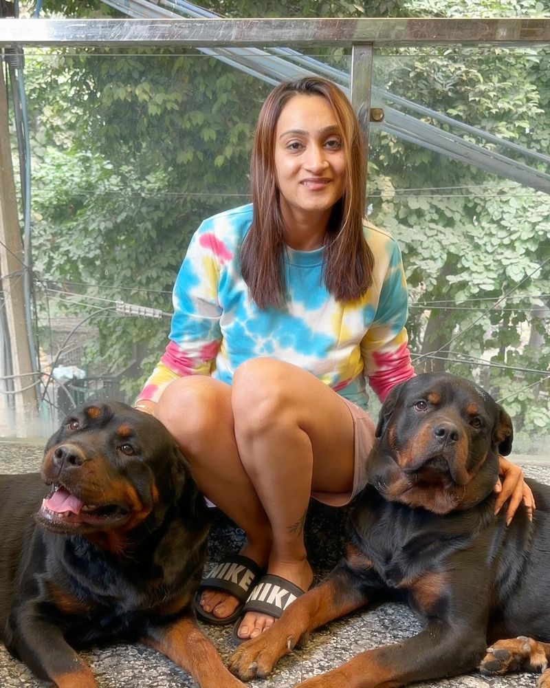 Rottweiler
