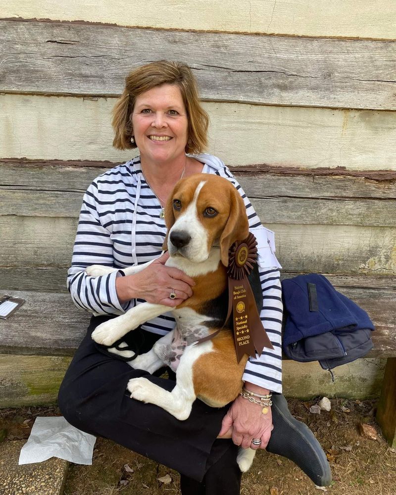 Beagle