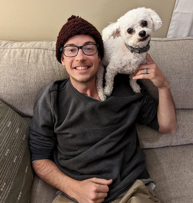 Bichon Frise