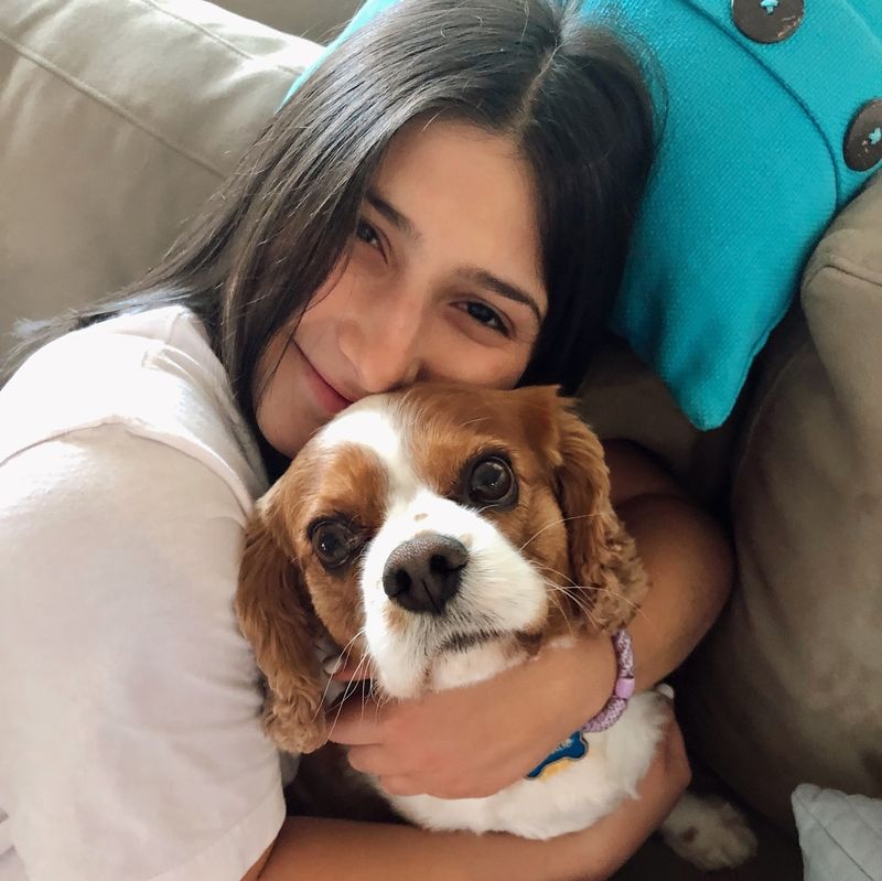 Cavalier King Charles Spaniel
