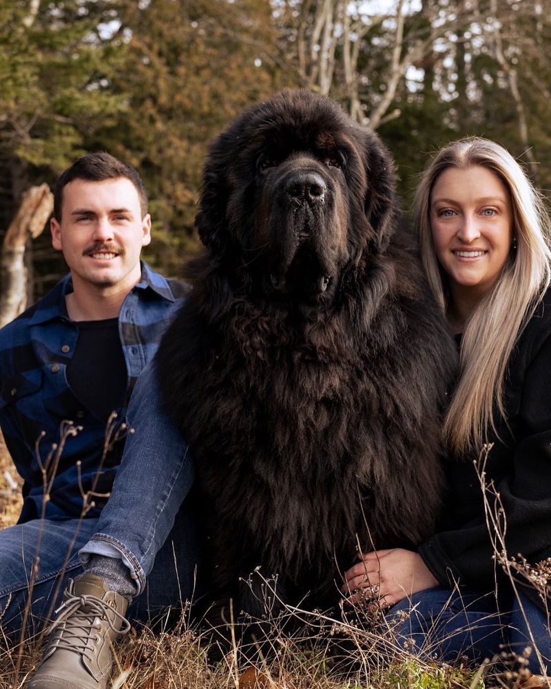 Newfoundland