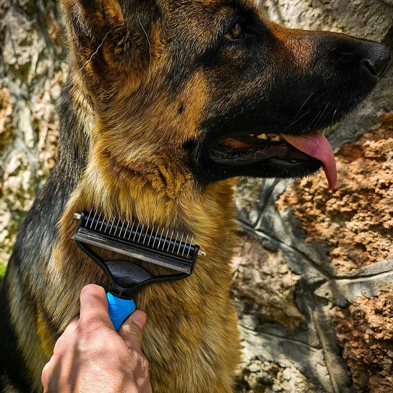 Shedding Concerns