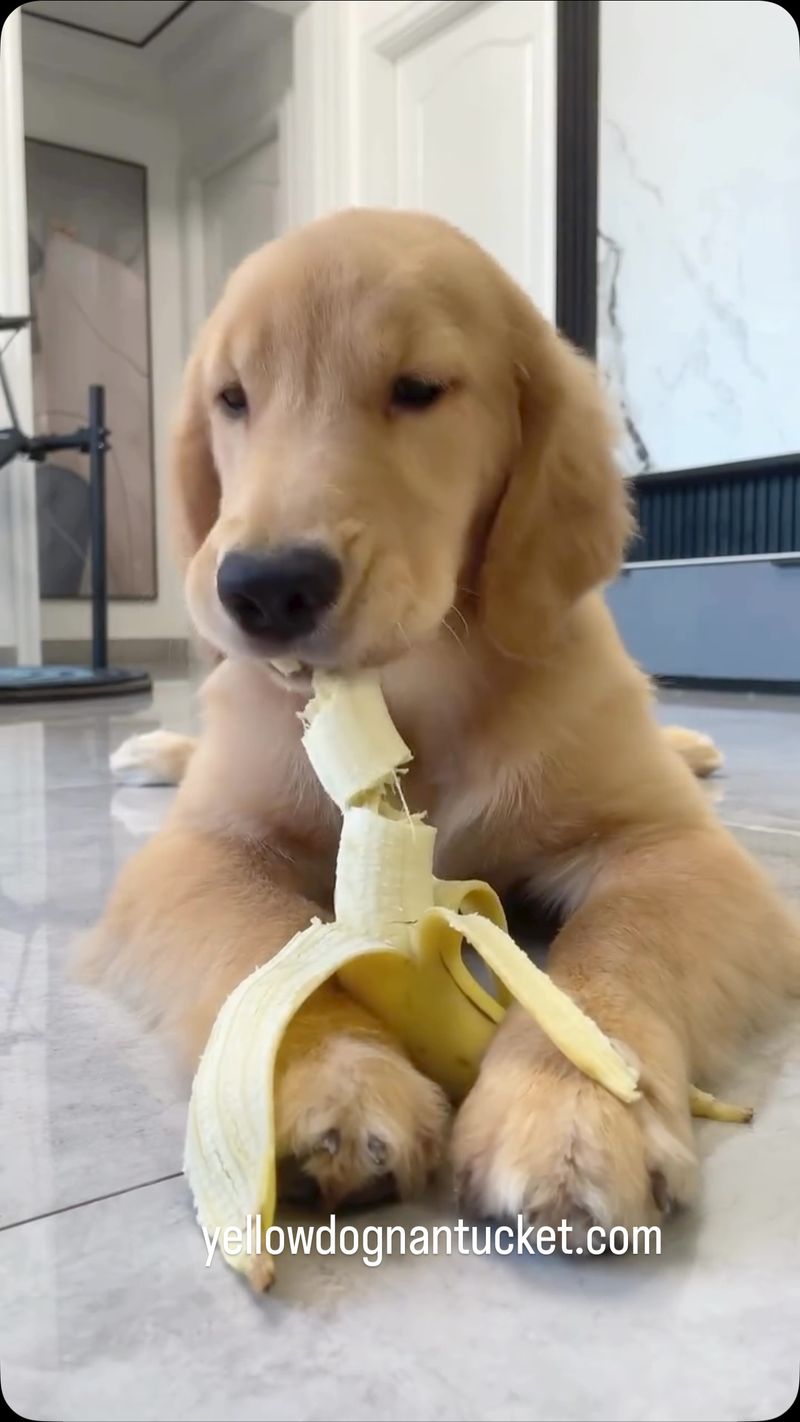 Bananas