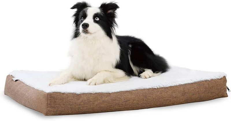Comfortable Resting Places