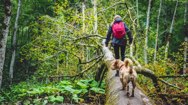 Nature Adventures
