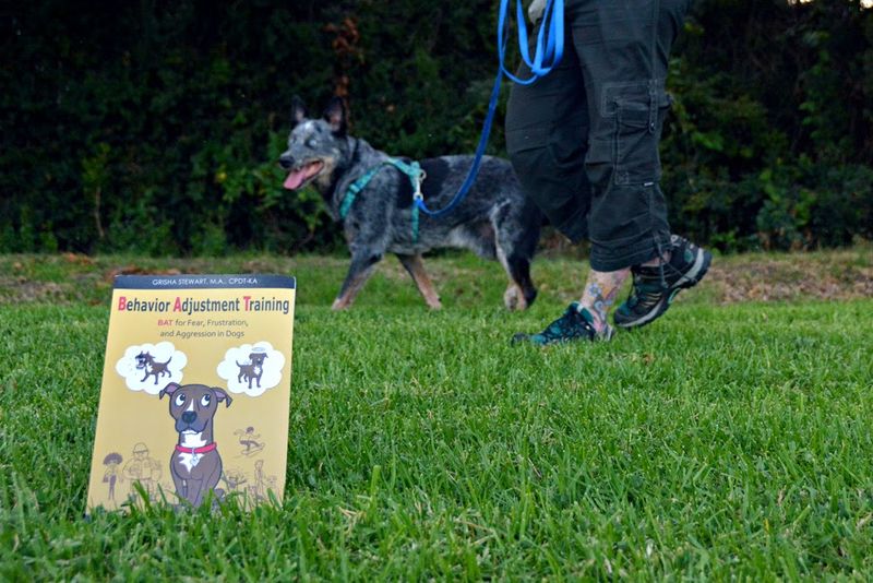 Behavior Adjustment Training