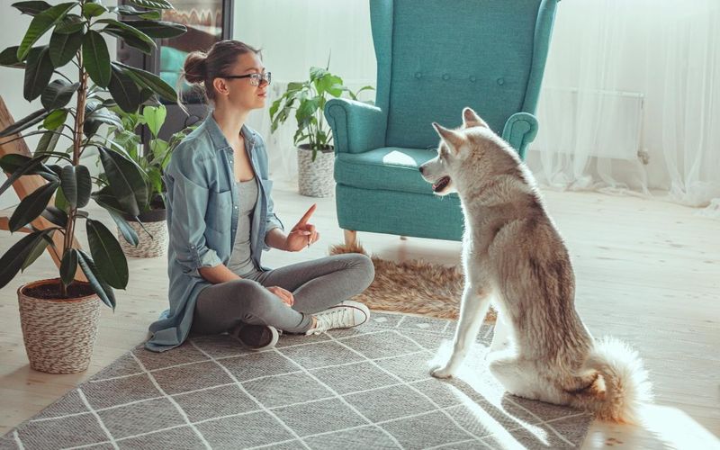 Impulse Control and Focus