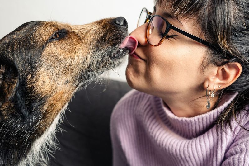 Face Licking