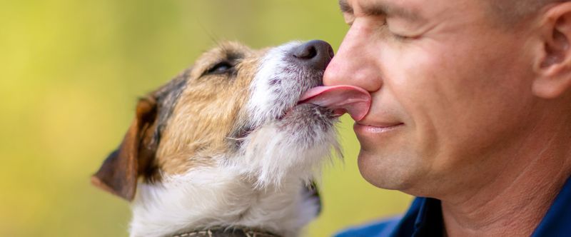 Licking You