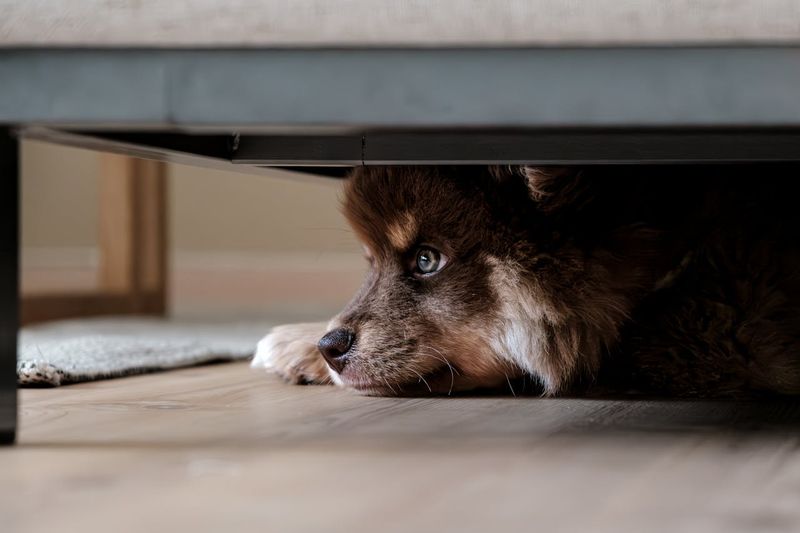 Hiding