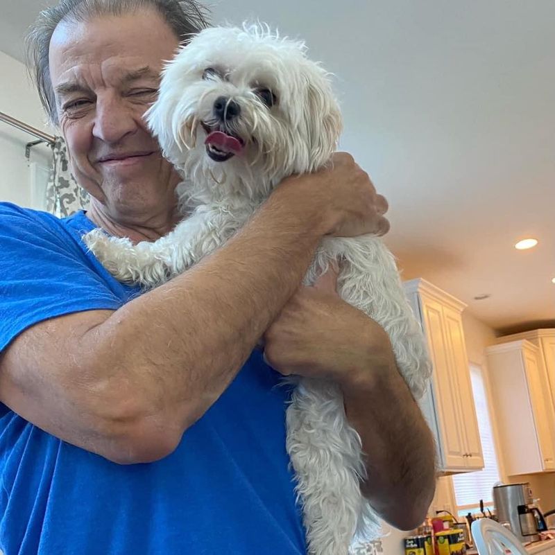 Maltese
