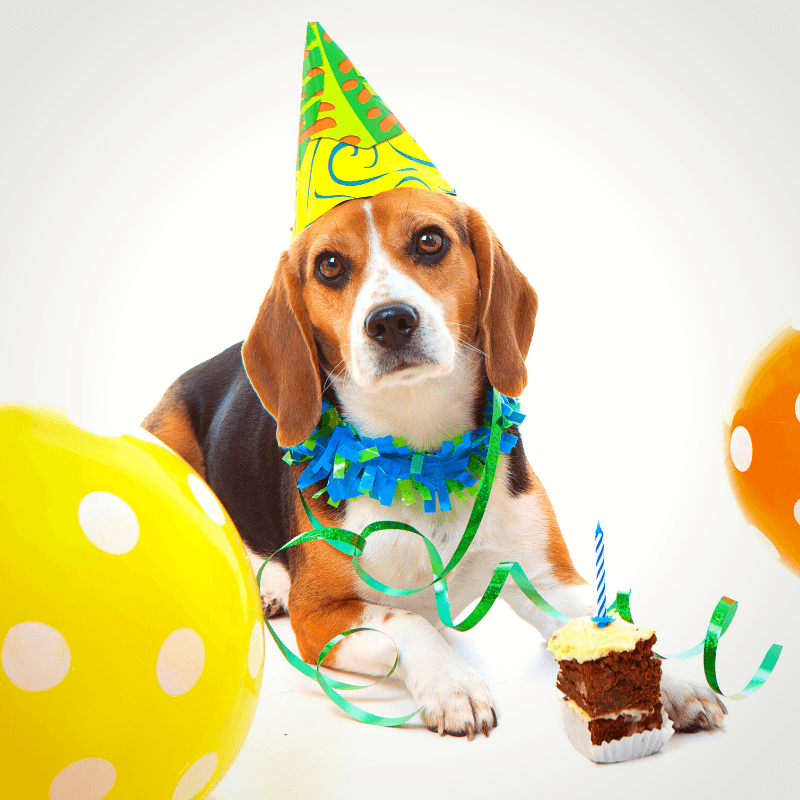 Celebrating Milestones