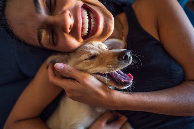 Affectionate Behavior