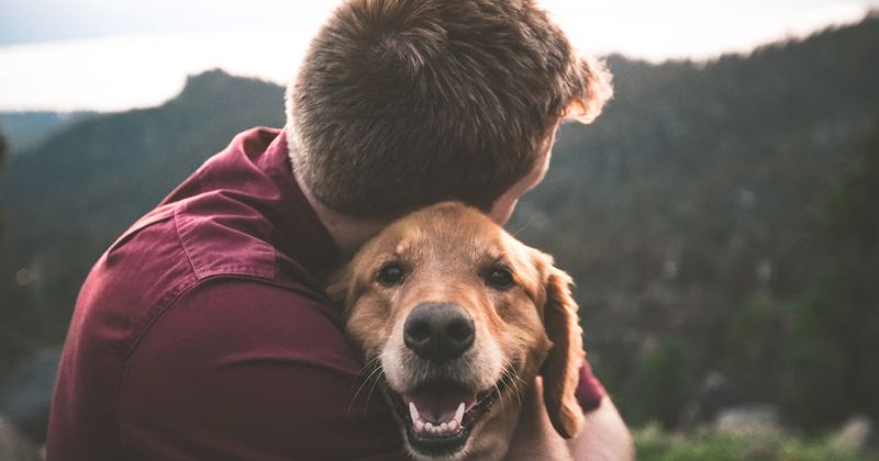 Seeking Affection
