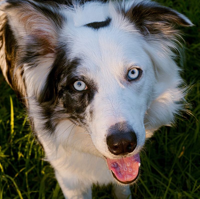 Bright, Clear Eyes