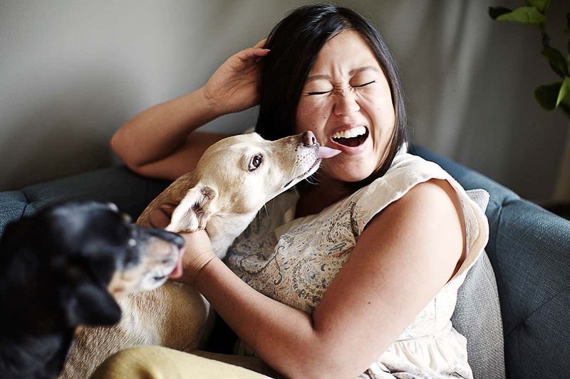 Licking Your Face