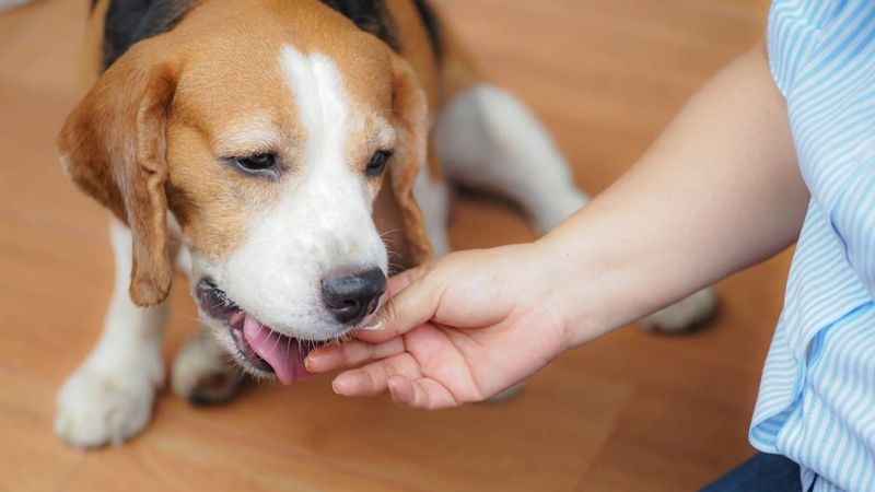 Refusing Treats