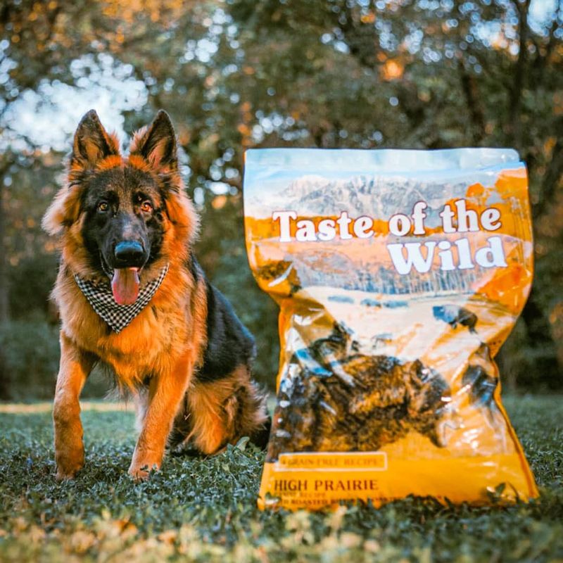 Taste of the Wild