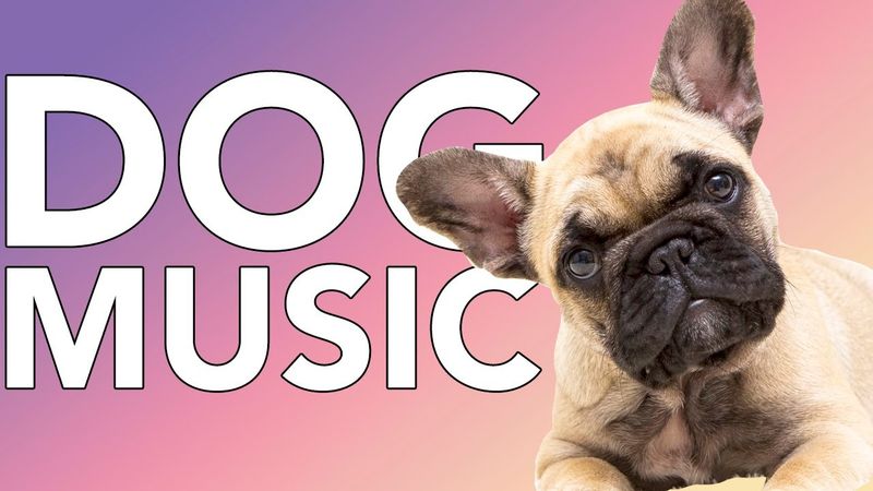 Try Calming Music