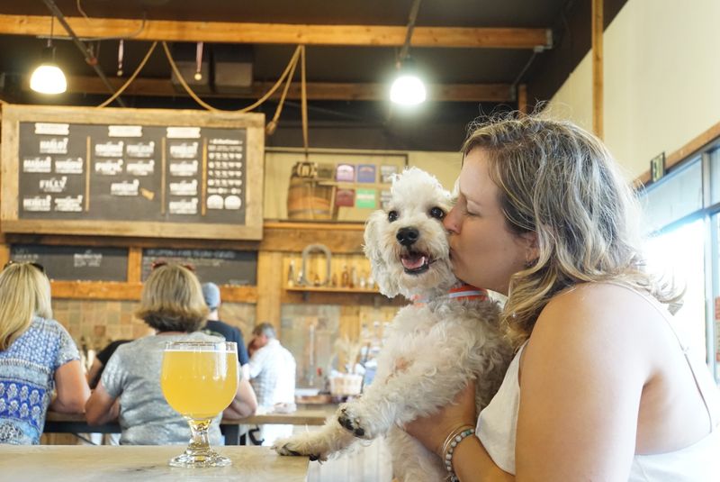 Paws & Pints Brewing