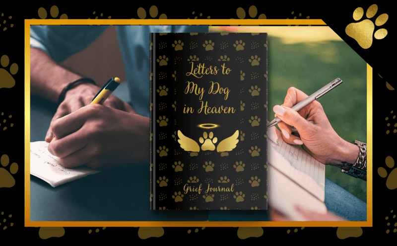 Keep a Journal