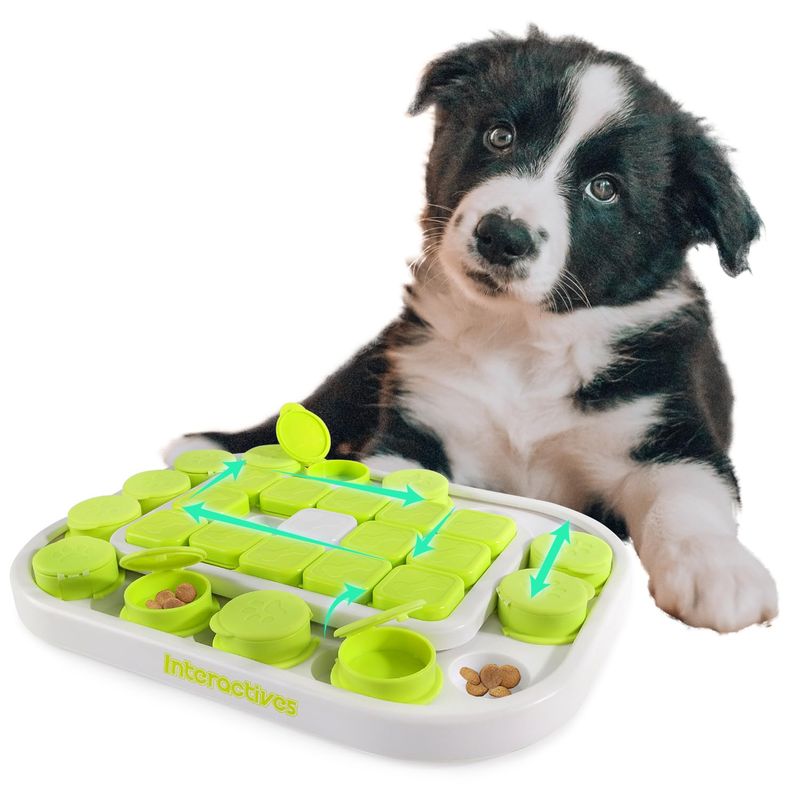 Interactive Toys and Games