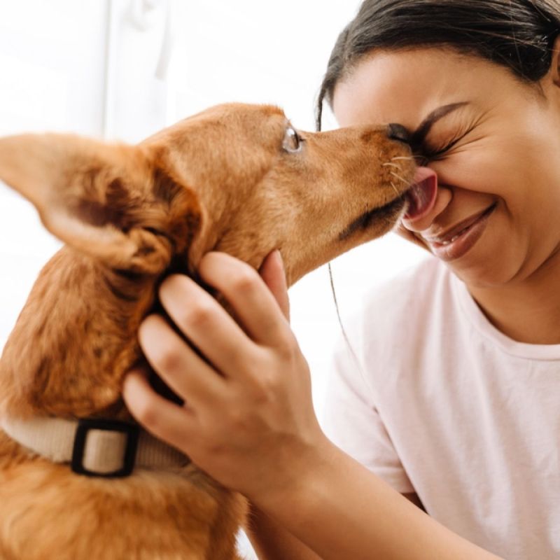Licking