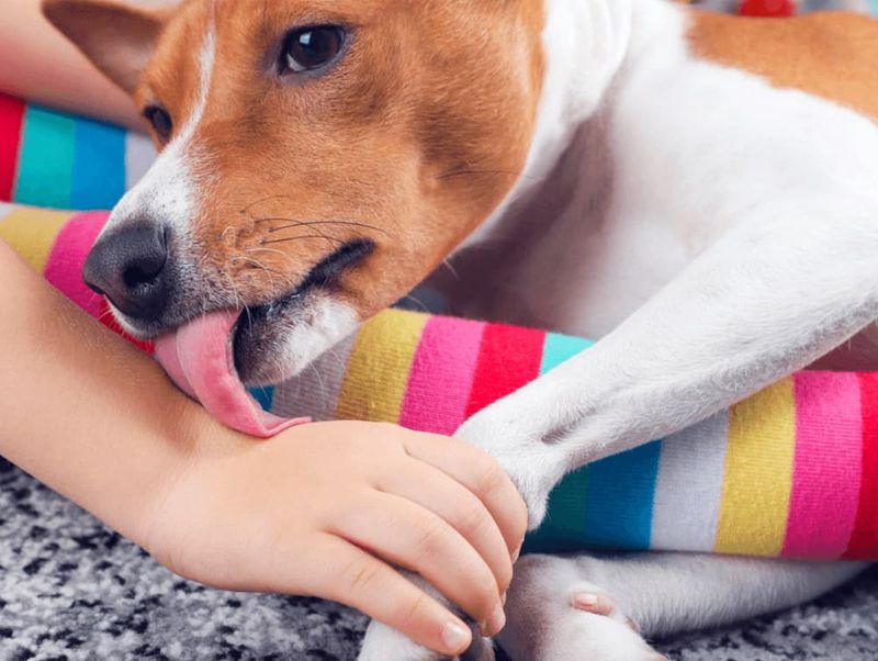 Licking and Grooming