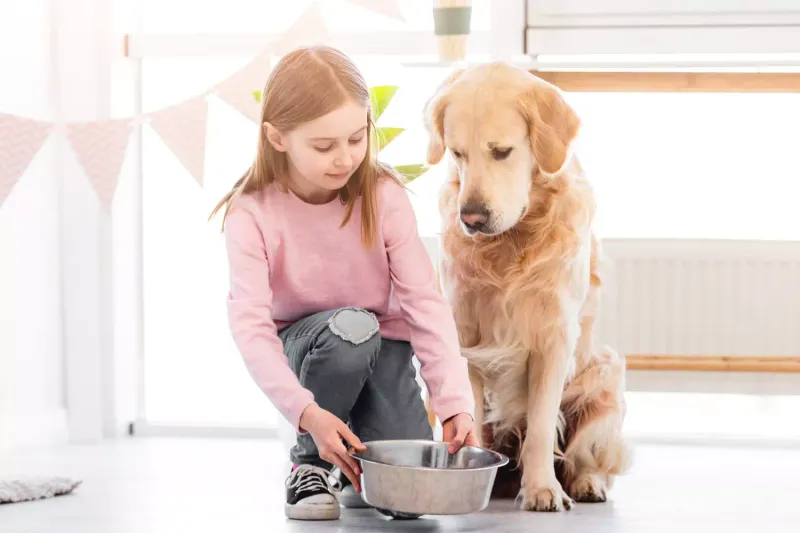 Fostering Responsibility