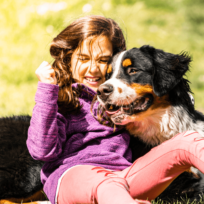 Family-Friendly Temperament