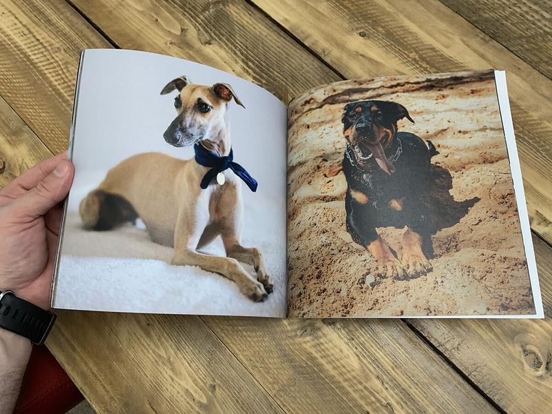 Dog Photo Book