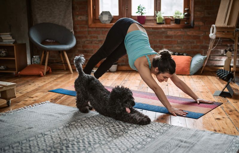 Dog Yoga