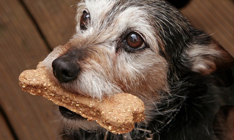 Limit Treats