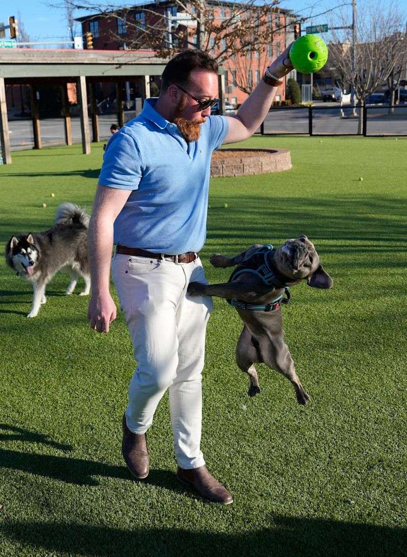 Utilize Local Dog Parks