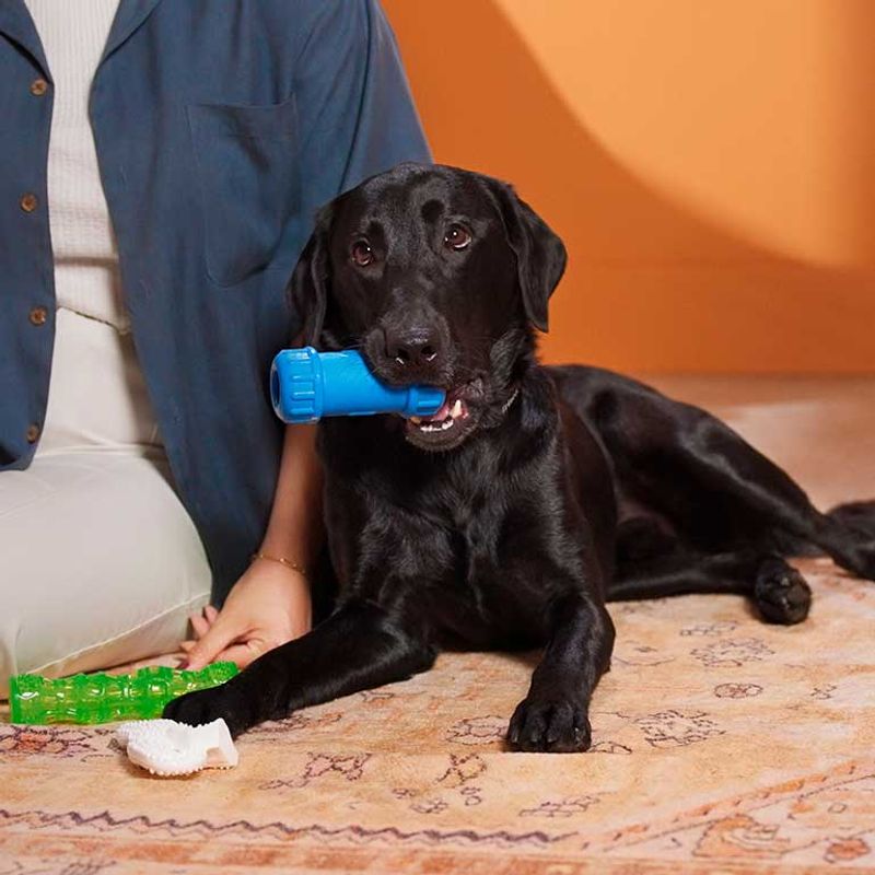 Destructive Chewing