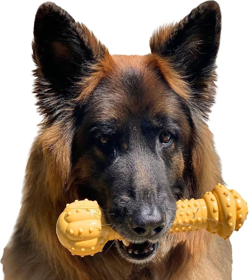 Nylabone DuraChew