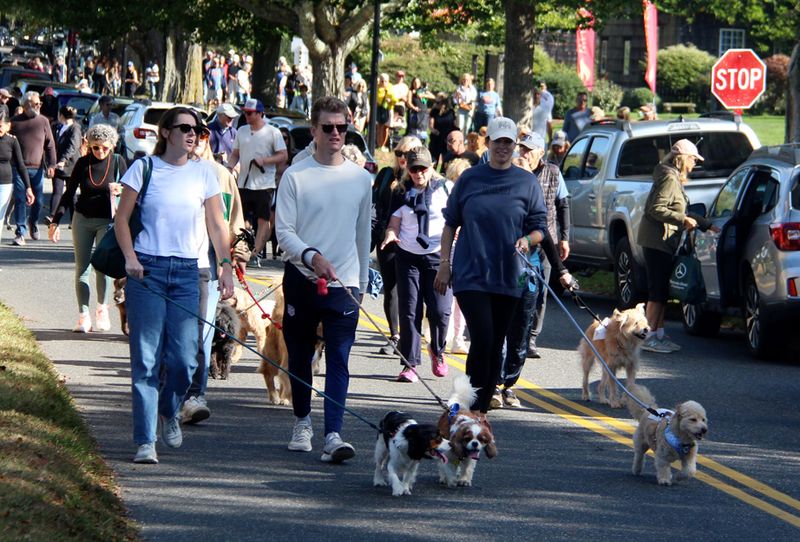 Participate in a Charity Walk