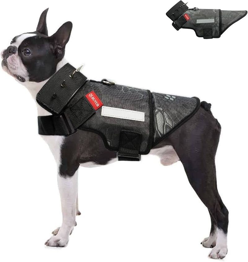Puncture-Resistant Shield