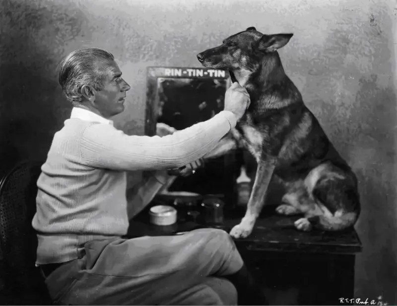 Rin Tin Tin