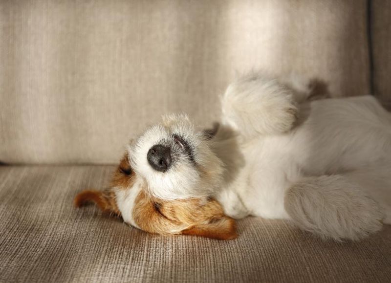 Relaxed Body Posture