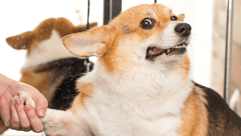 Overcoming Fear and Anxiety