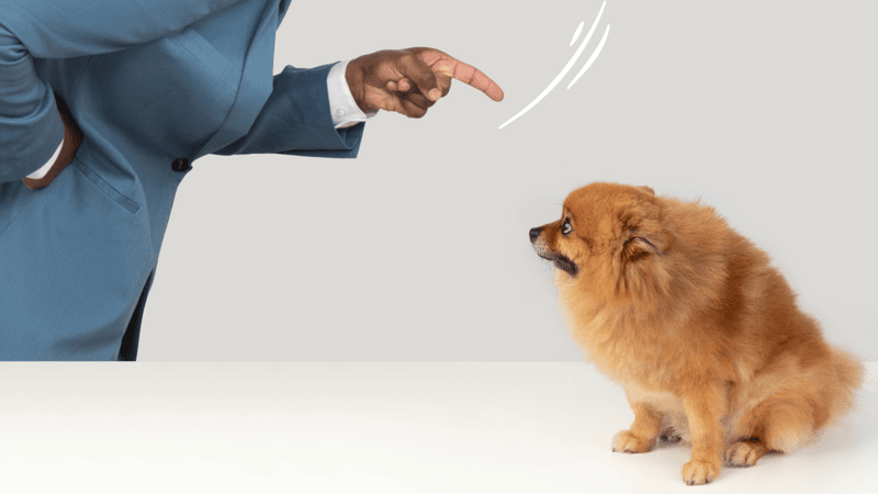 Loud Arguments