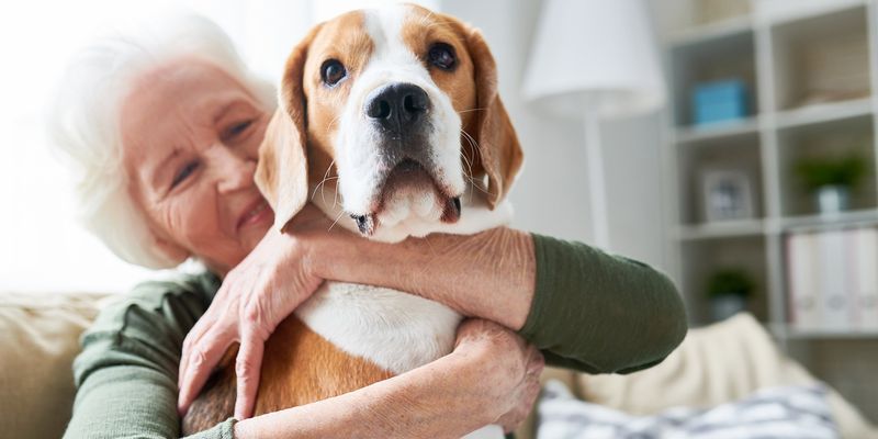 Great for Seniors