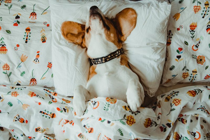 Sleeping in Weird Positions