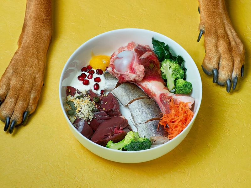 Raw Food Diet