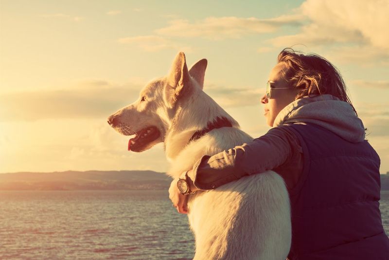 Loyalty and Friendship